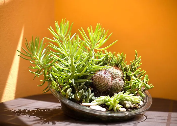 Casa Yoaki Apartment *